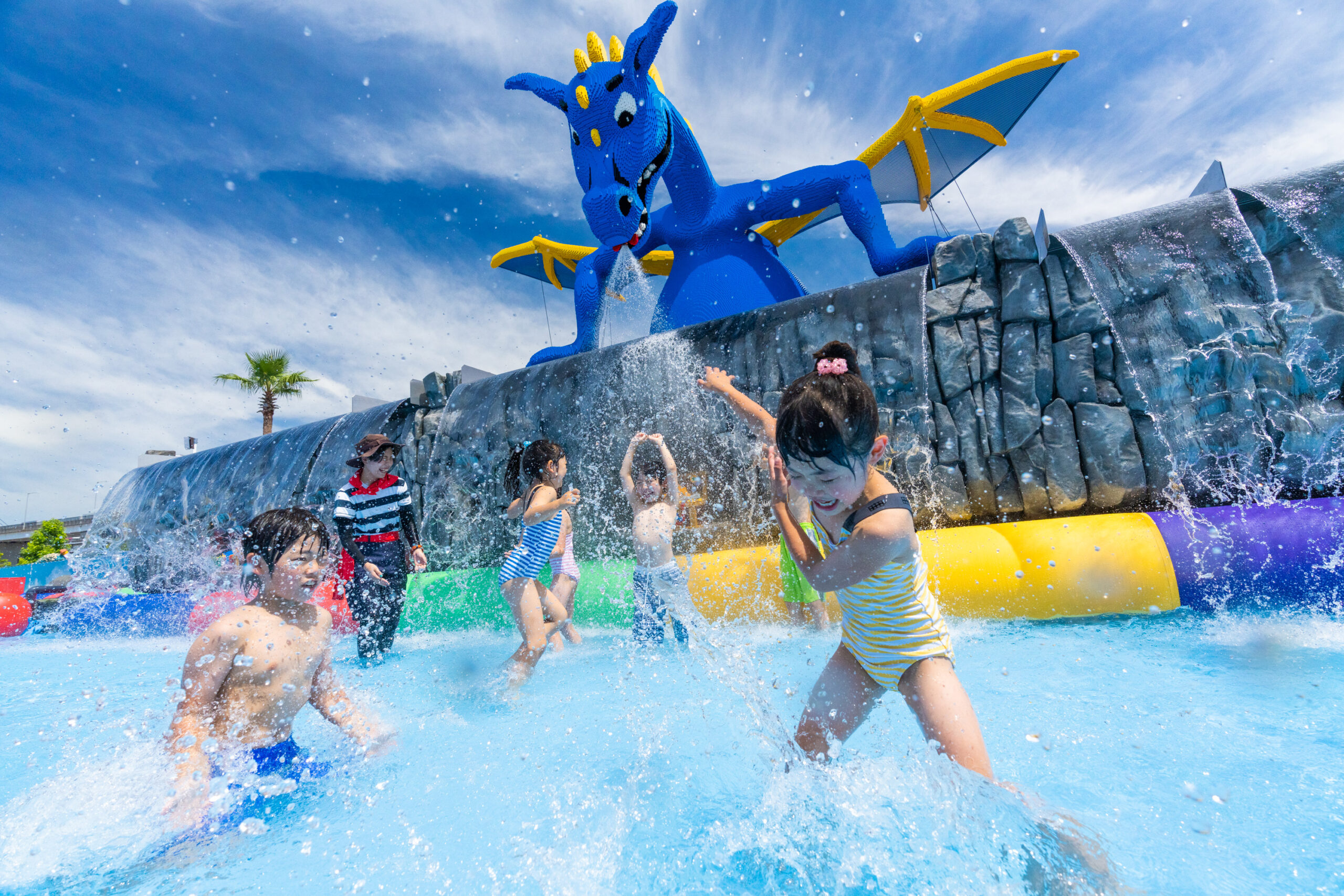 6 水上迷宮water Maze 藍龍